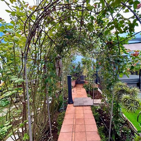 Casa Con Jardin Y Jacuzzi Villa Realejo Alto Kültér fotó